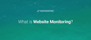 What is Website Monitoring?